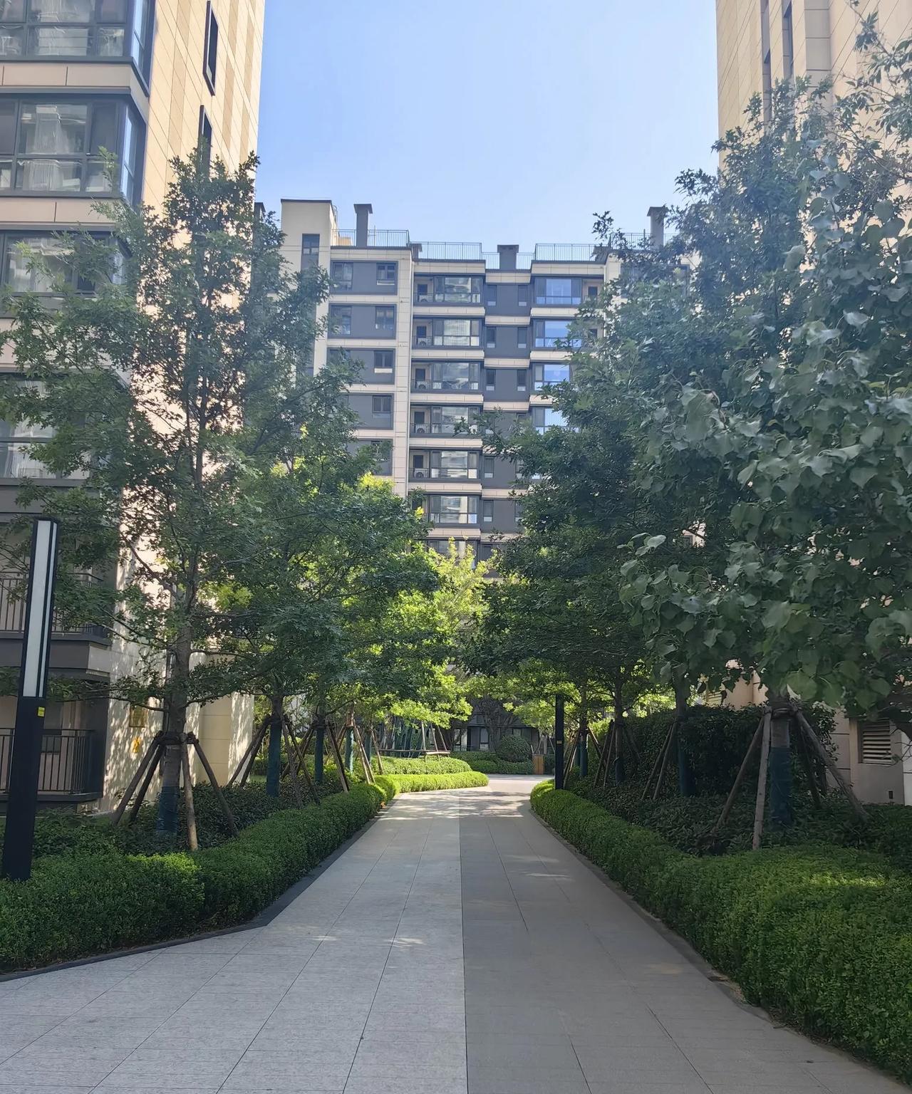 女儿要搬新家，相中了一款品牌家具，在烟台的两家专卖店讨价还价很久了，加起来最低就