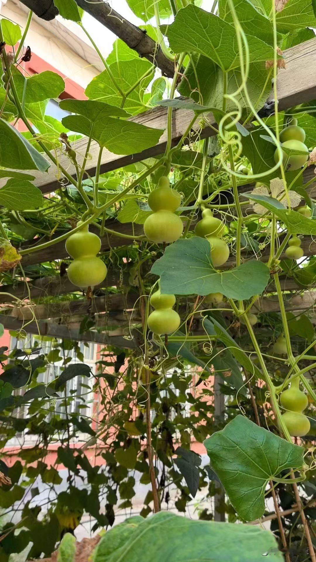 别老一个劲儿歌颂生育之恩有多伟大了，行不？孩子又不是自己跑到这世上的，是你们主动