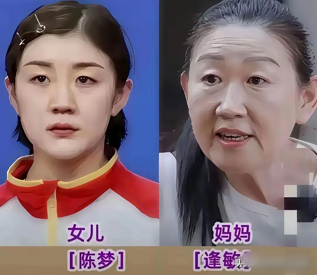 樊正东有一个好妈妈。陈梦有一个好妈妈。马龙有一个好妈妈。陈若琳有一个好妈妈