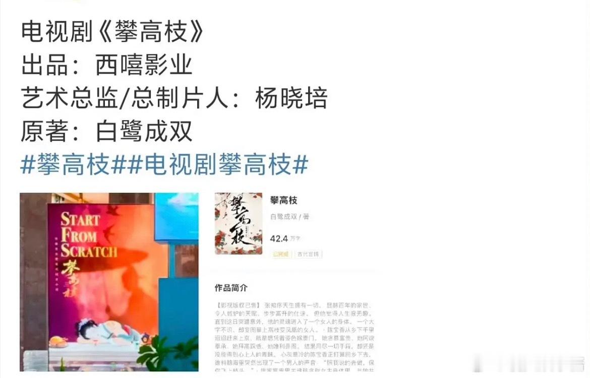 网友说攀高枝，感觉是近几年女频古言最好看的了，结果一看制片人是杨晓培……