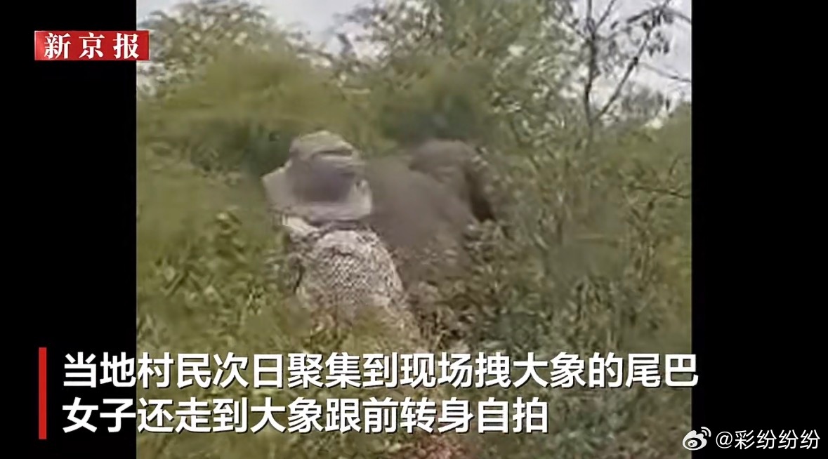 我以前看过一个明珠台的记录片，叫《翻山越岭上学去》，讲的是国外一些偏远落后孩子辛