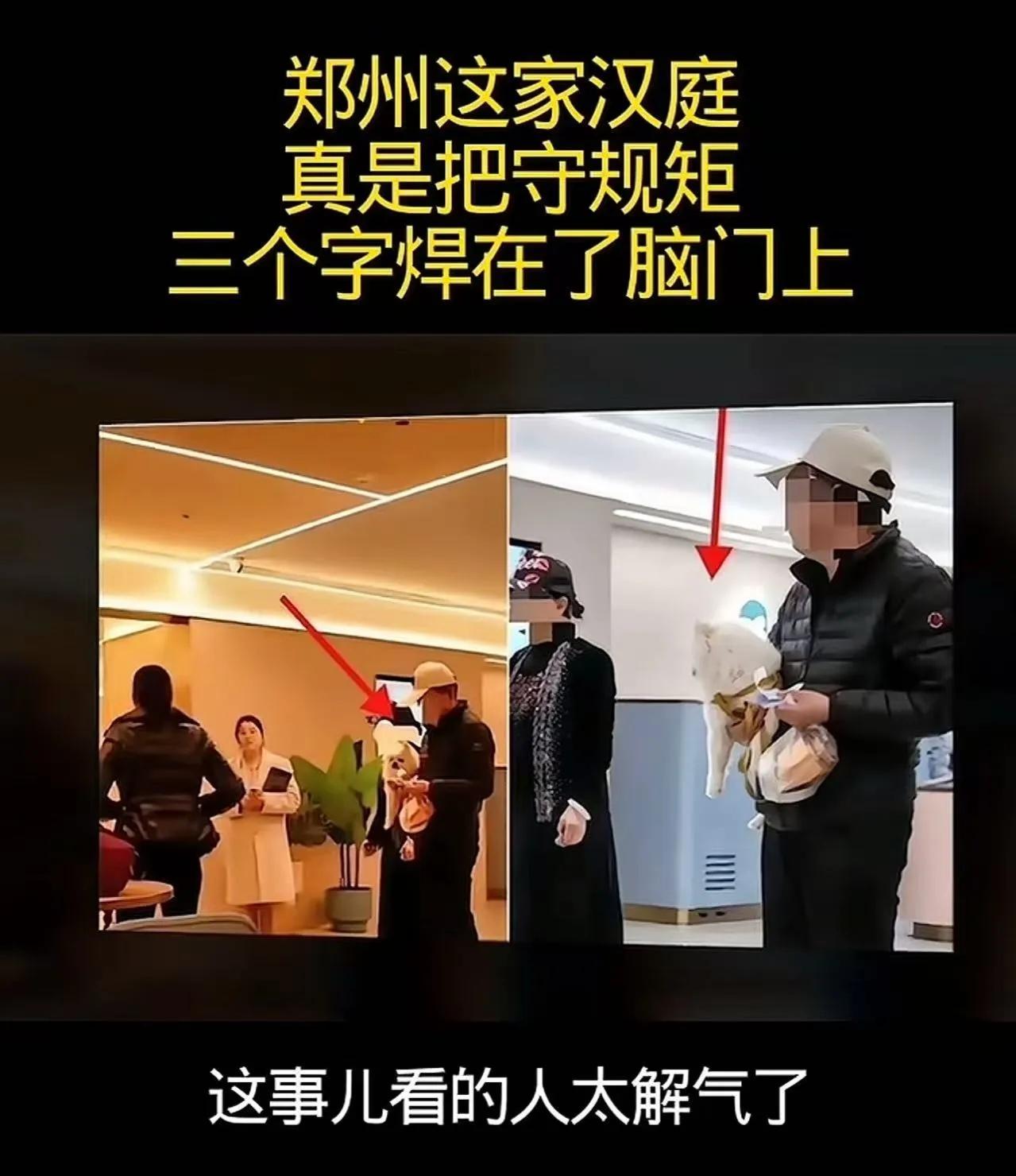 “凭啥不让带狗入住？”男子订好4间房带狗被拒，酒店硬是把钱退了！网友吵翻天郑