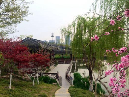 弟弟出生后，我被爸妈200块卖给邻村光棍。他没碰我，反供我读博。二十年后爸妈舔脸
