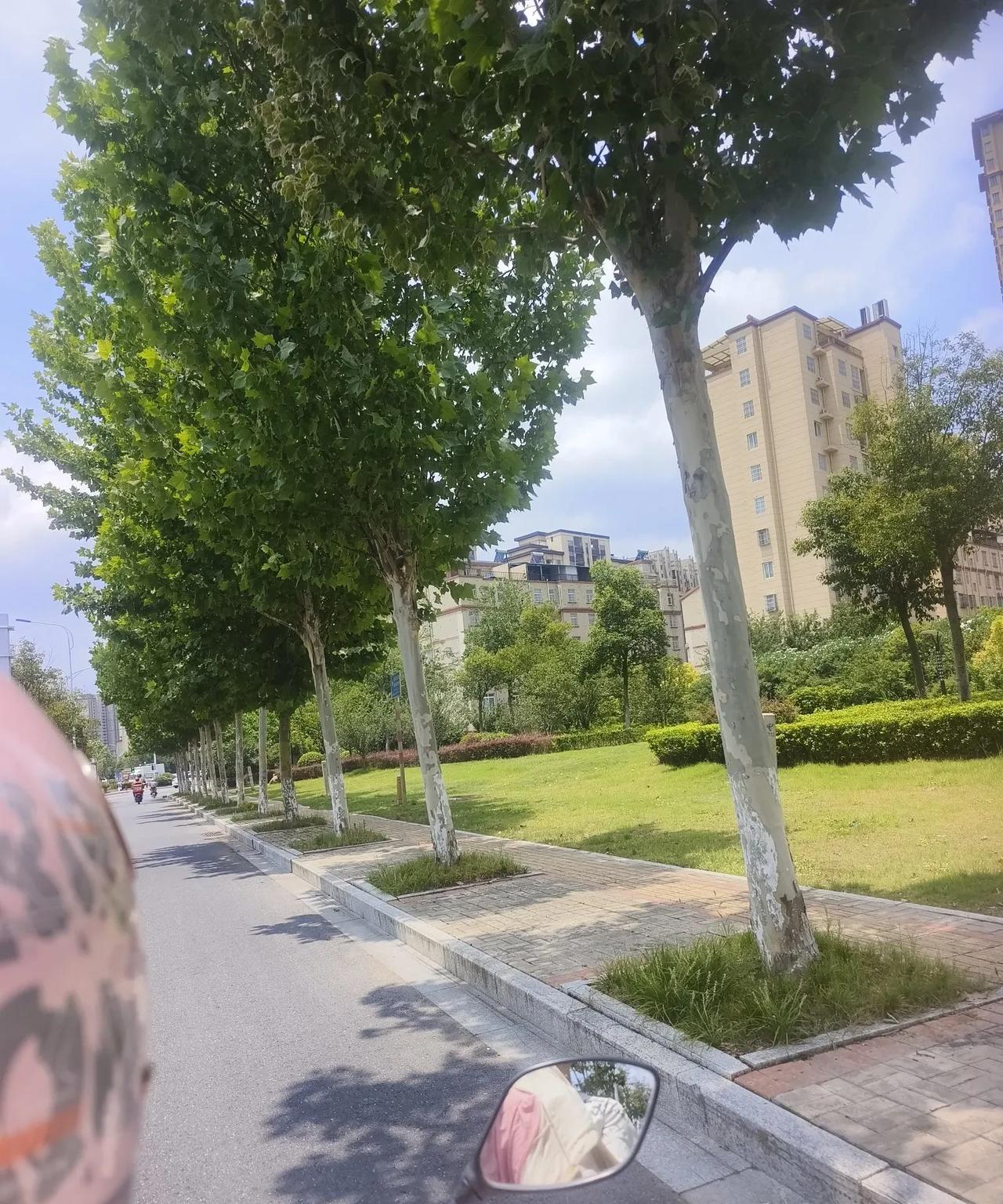 现在老了想到女儿了。我父母两个孩子，我还有个弟弟，家庭条件中等。十多年前我