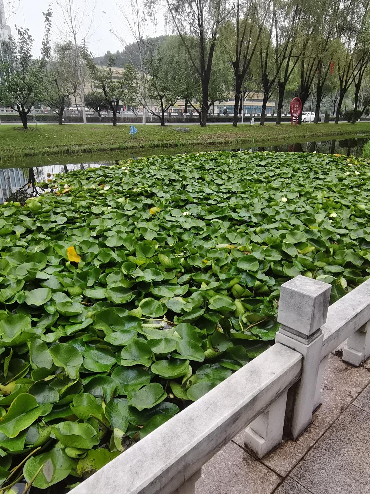 如果有来生，我不想结婚了！前几天，我突然感觉脑子疼的厉害，家里人都在，我就说