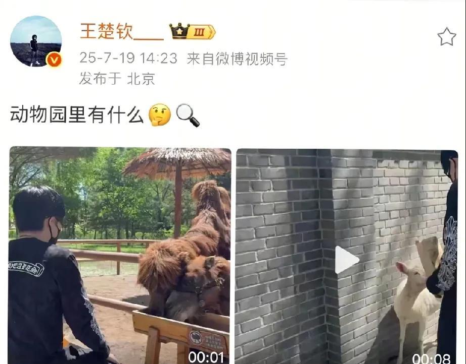 动物园里有什么——对象[滑稽笑]所以哥去了动物园有网友说:1423，一生爱莎