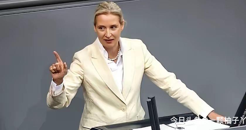 德国选择党的联合主席魏德尔，最近在采访里直接点破了不少欧洲人心里有数却不敢说的现