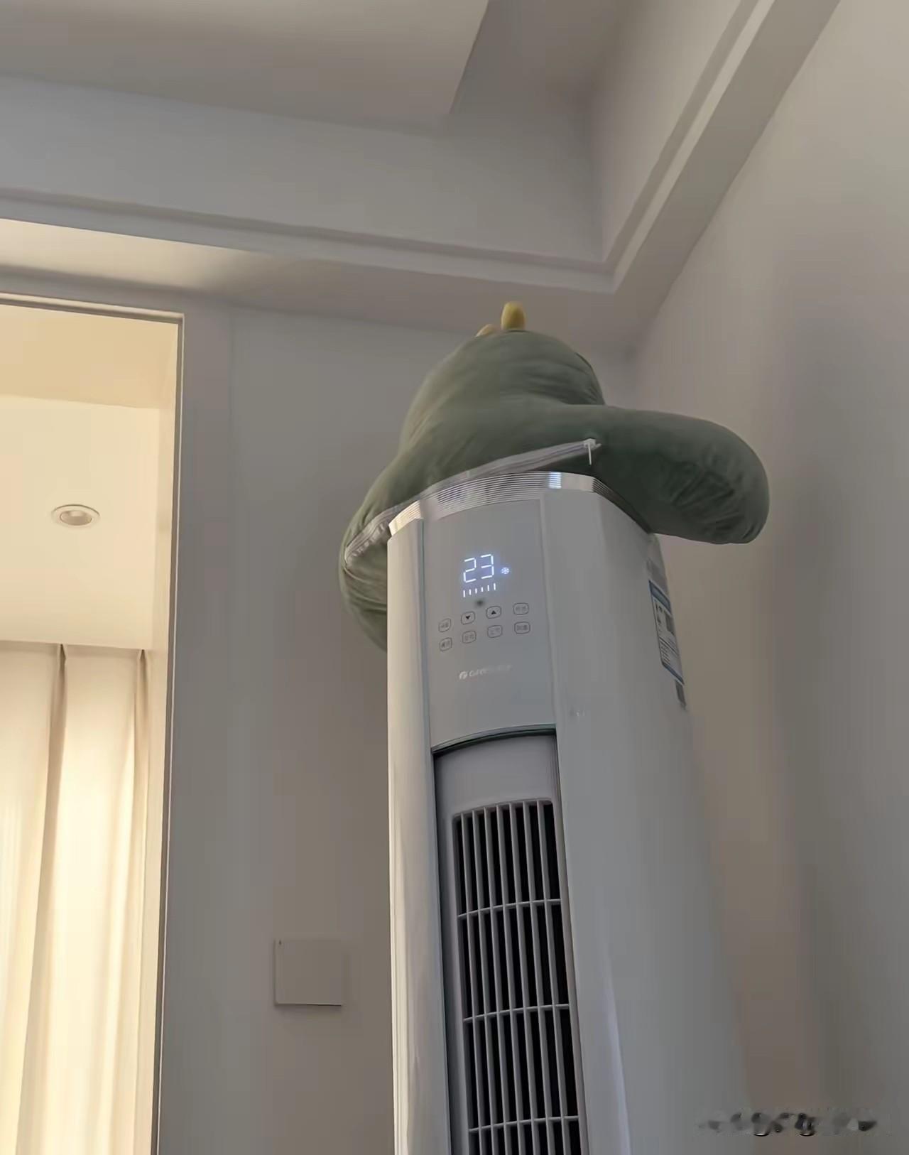 人都要气炸了，白天也开着空调，晚上也开着空调，今天我确实受不了，我看到儿媳妇在家