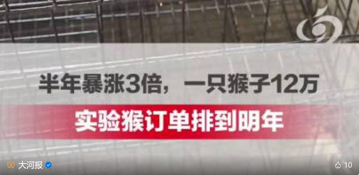 “今年的指标全部卖完，现在来订，只能等明年了。”河南南阳新野县猕猴艺术养殖协会