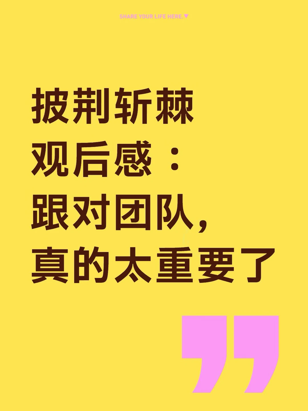 披荆斩棘观后感：跟对团队，真的太重要了