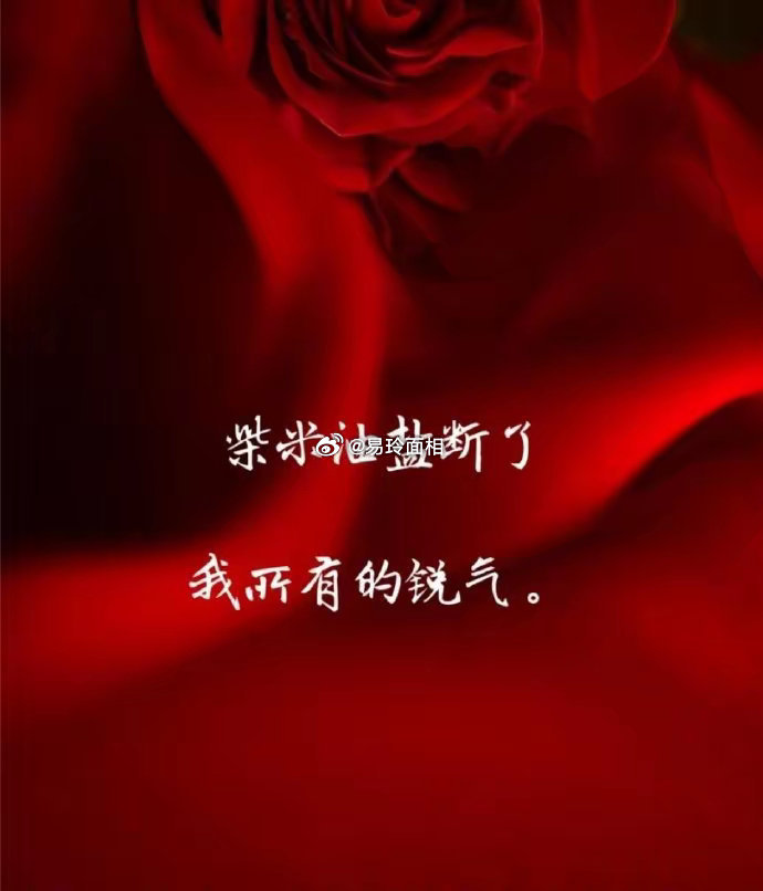 金牛座的人踏实、稳重和勤奋，他们总是以稳定和安全为重，对待他人充满耐心和信任。只
