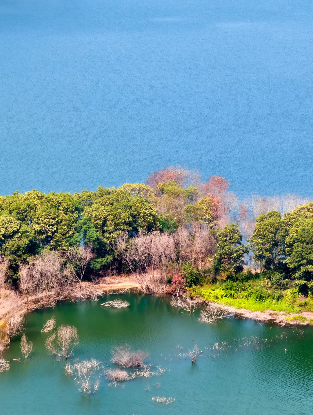 真的在深圳❗️还以为到了九寨沟🏞