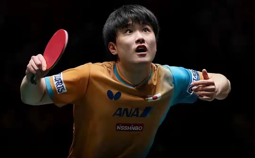 张本赢得决赛权说明什么？说明；他仍是国乒主要劲敌之一；本次赛事，这个