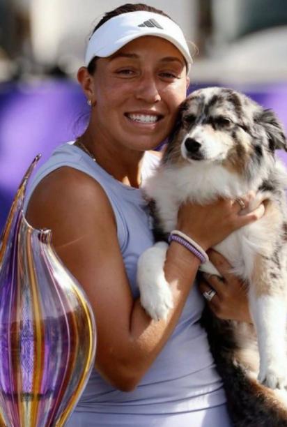 2020年以来拿到10+个冠军：🇵🇱斯瓦泰克🇧🇾萨巴伦卡🇰