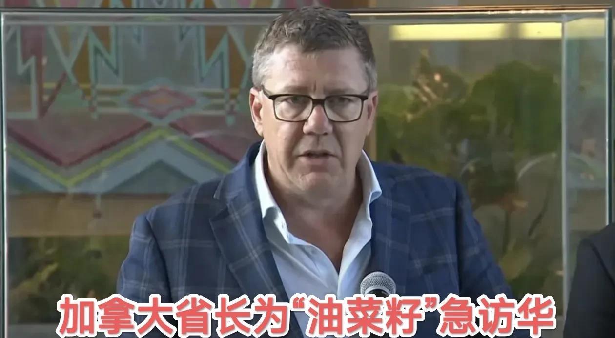 “不能再等了”加拿大省长急访华，加拿大油菜籽告急！加政府看似不急？面对着中
