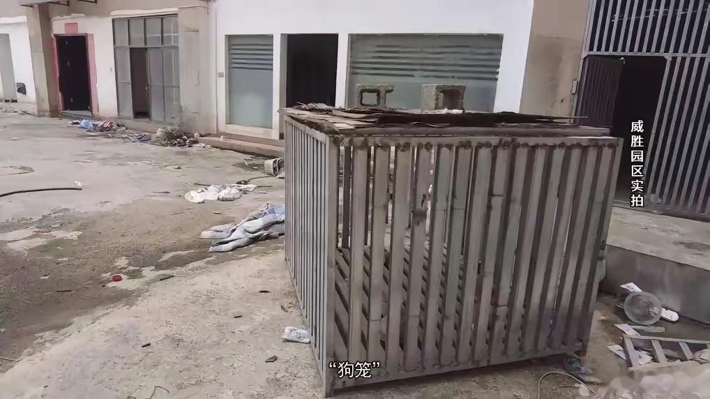 缅北魏家犯罪集团主案一审他们以“高薪工作”为诱饵，诱骗国人赴缅，实施拘禁、虐待，