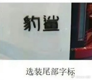 豹鲨，鲨鱼皮卡你要豹鲨谁啊皮卡