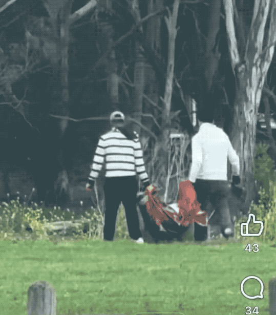 印度人臭遍全世界的速度太快了！澳大利亚白人：你们这群脏猪滚出去！这是澳大利亚墨尔