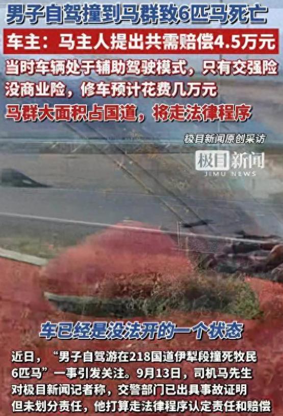 河南，马先生和仨朋友开新能源车去西北自驾游，在218国道伊犁新源县路段，马先生开