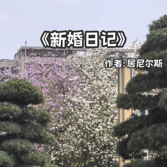 宅家小说｜日久生情《新婚日记》