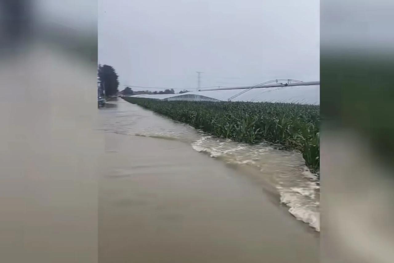 山东寿光遭遇强降雨，局部降雨超过100毫米，部分蔬菜大棚被淹，从网友发布的视频能