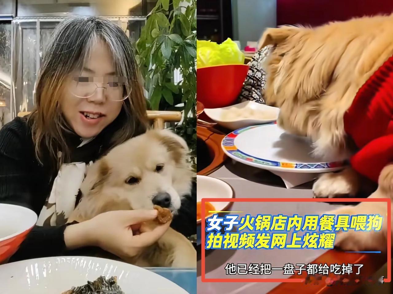 女子带狗上桌涮肉一事，网友都在说：想看看女子被门店追责后，会不会哭。这完全是