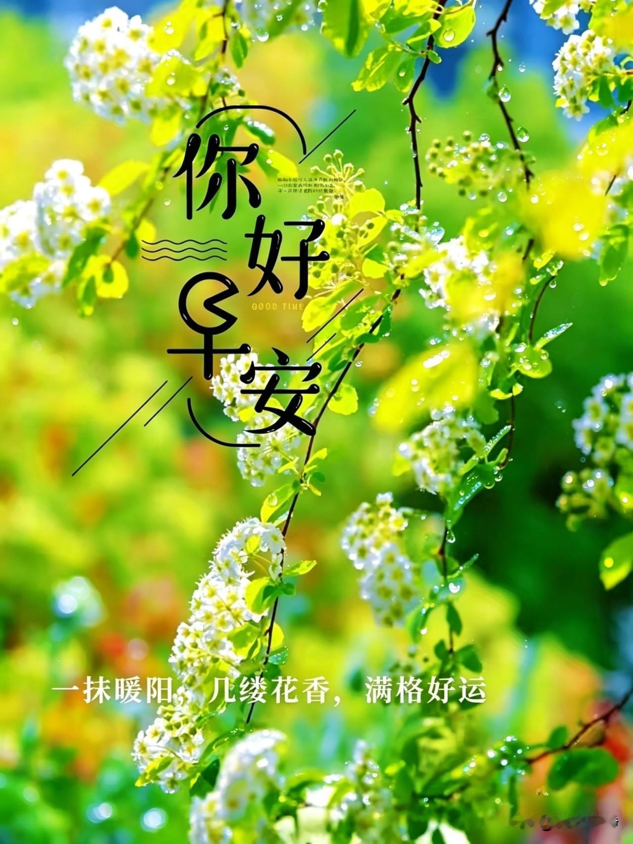 🍃²⁰²⁶/₀₆.₀₃ᵕ̈六月｜夏绿☀️🌼☕️🍒🍊☀️晨光拂面，清风