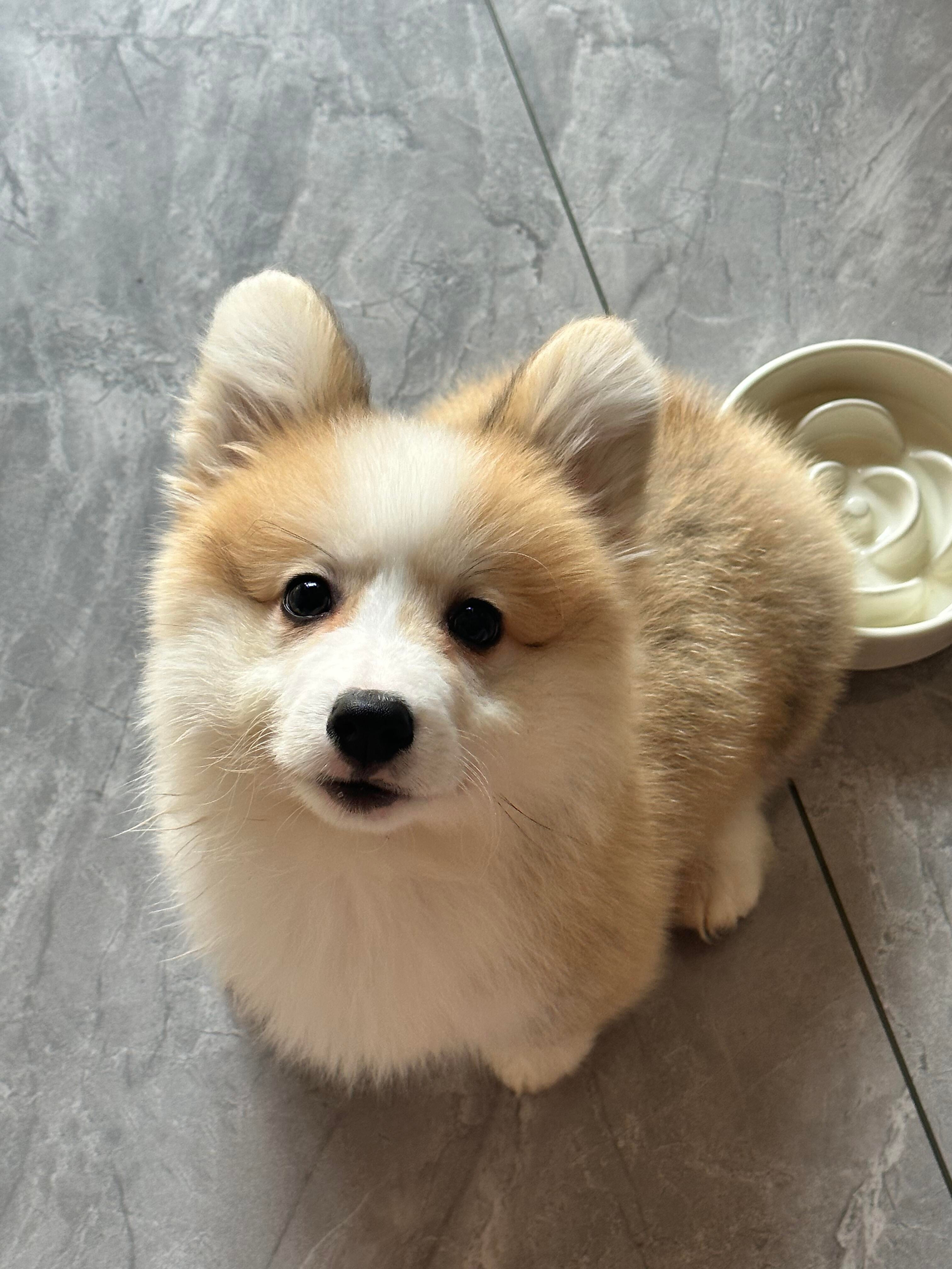 妈妈，你又要出门打猎了吗？​​​