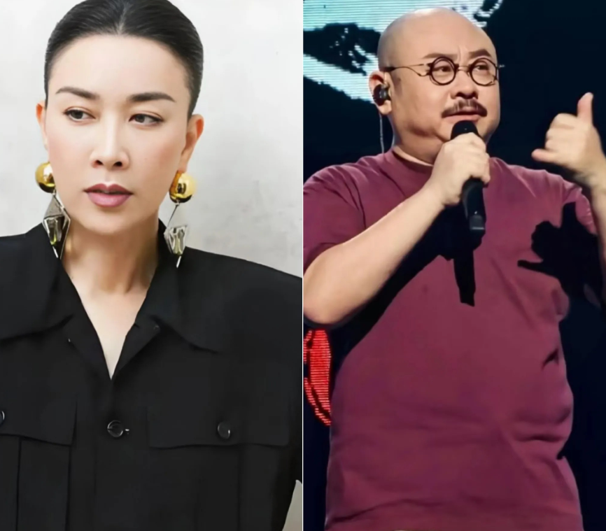 那英估计是笑不出来了，当年那句“刀郎的歌不具备审美”，如今被华语金曲奖的