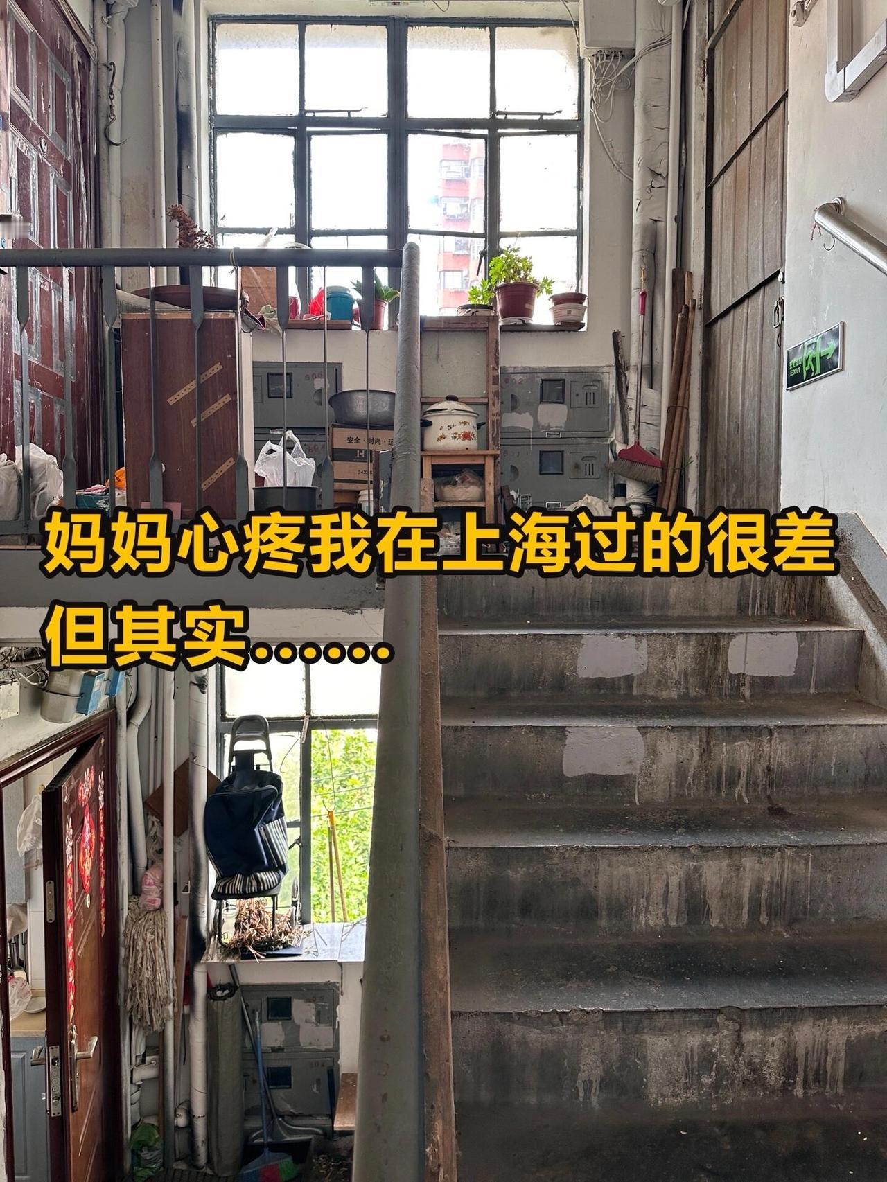 妈妈总担心我在上海过得不好，可实际上我却自得其乐，虽然37m²，6楼还没电梯，但