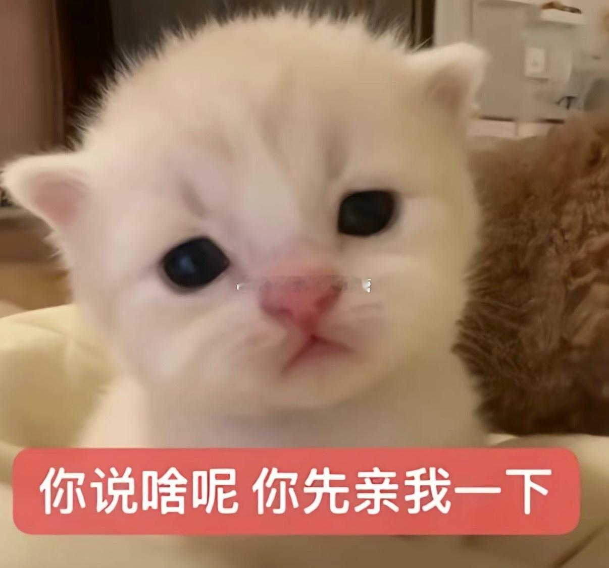 我觉得我俩的小生活有时候还挺搞笑的哈哈哈昨晚吃巧克力棒吃剩几根吃不下啦就打算给