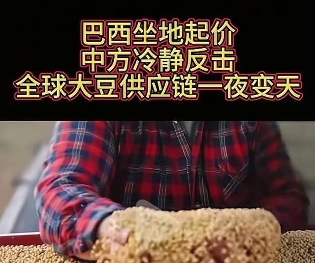 全世界都以为中国是傻瓜,人傻钱多,都在等机会狠狠敲诈中国一笔,巴西大豆握着中国7