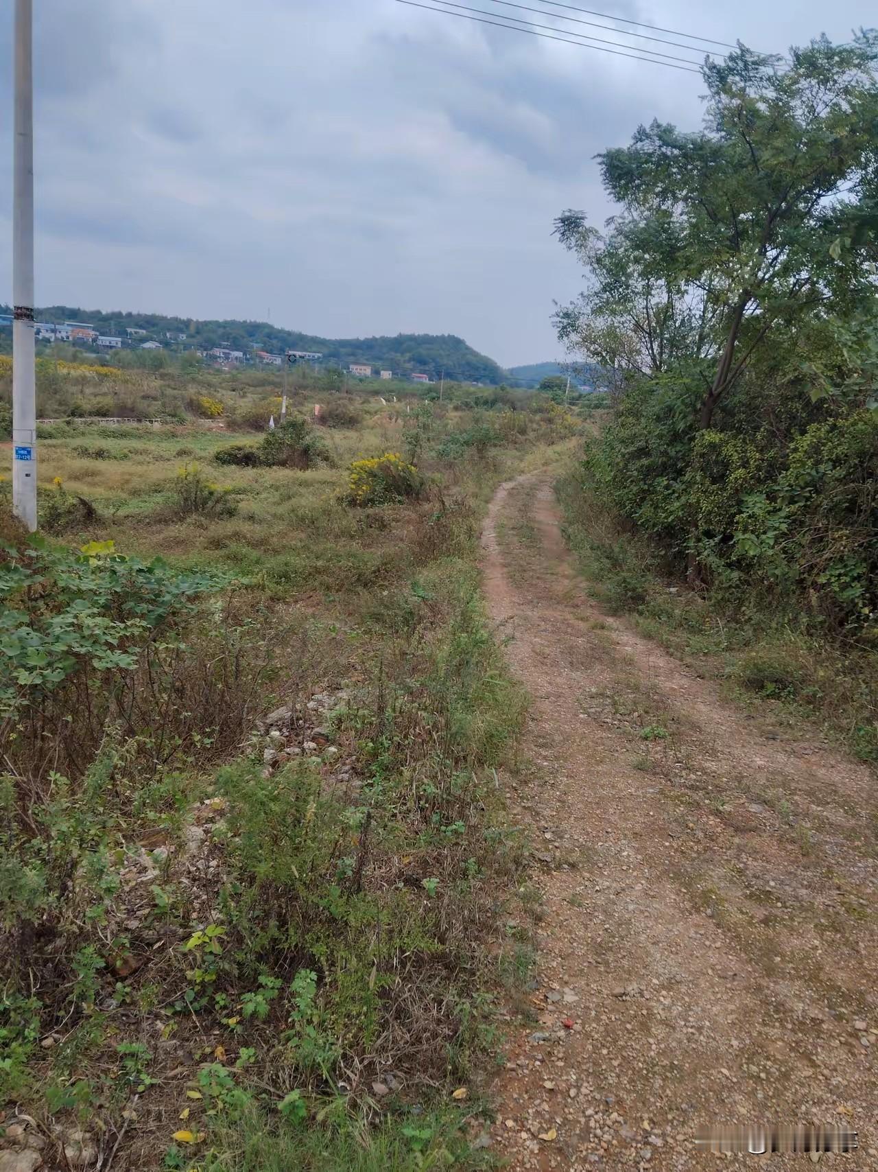 单干，就是单打独斗，把人心分散了，大家再也没有团结的力量了。于是你被人剥削，你被