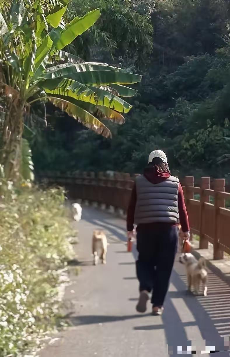 养狗的人真不要脸，养狗不仅破坏环境卫生，还有些养狗人遛狗不牵绳，对他人人身安全造