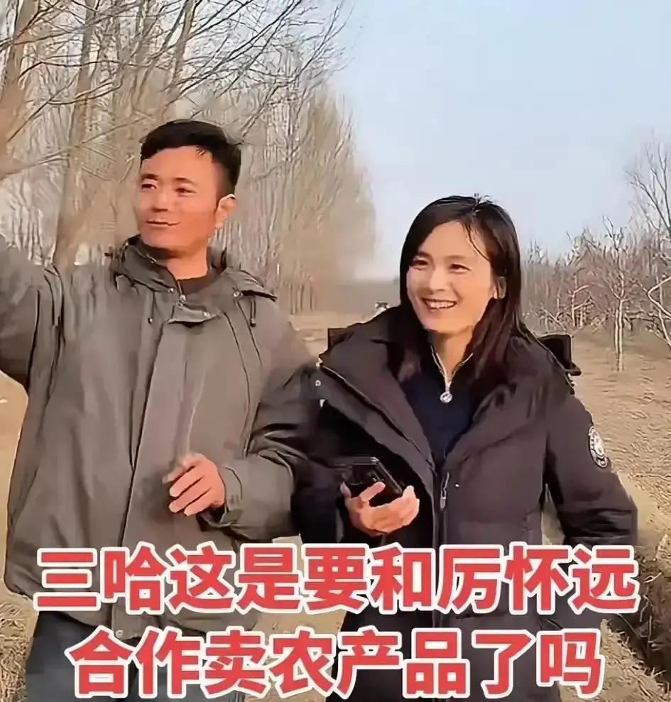 25亿梨钱，温州人先分走一半砀山去年线上卖梨25亿，温州老板厉怀远一个人就