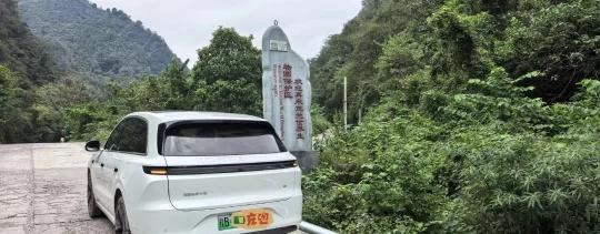 国庆自驾贵州茂兰，在无人的森林里被治愈了🌿开车带狗去贵州｜在无人的森林里被治