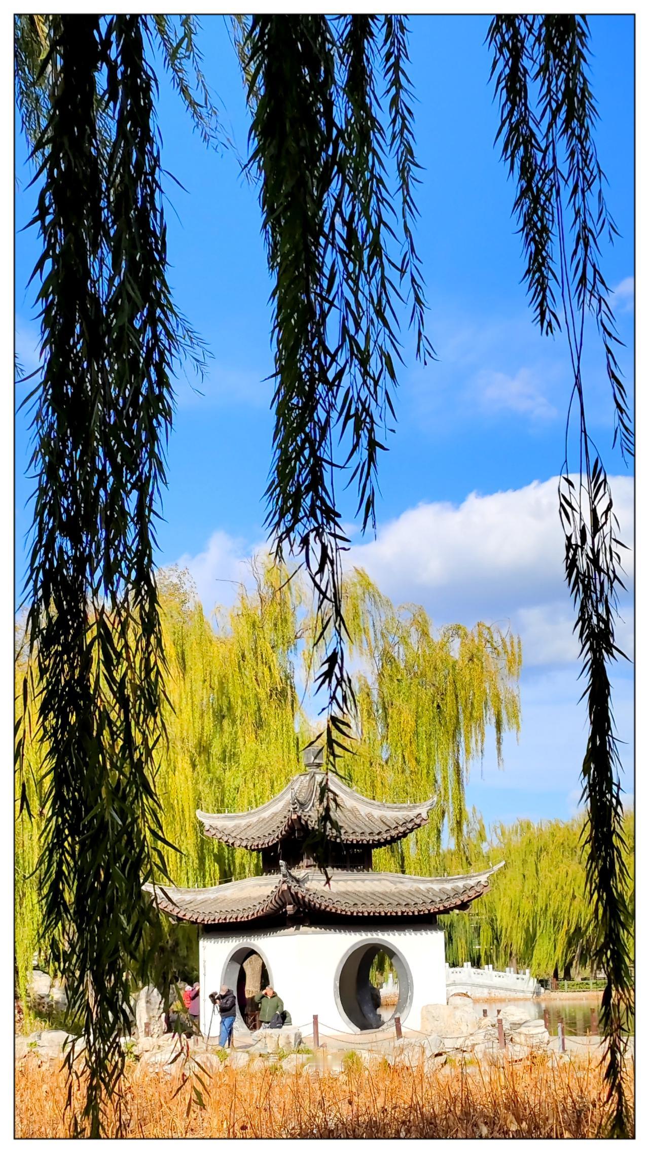 陶然亭公园风景如画