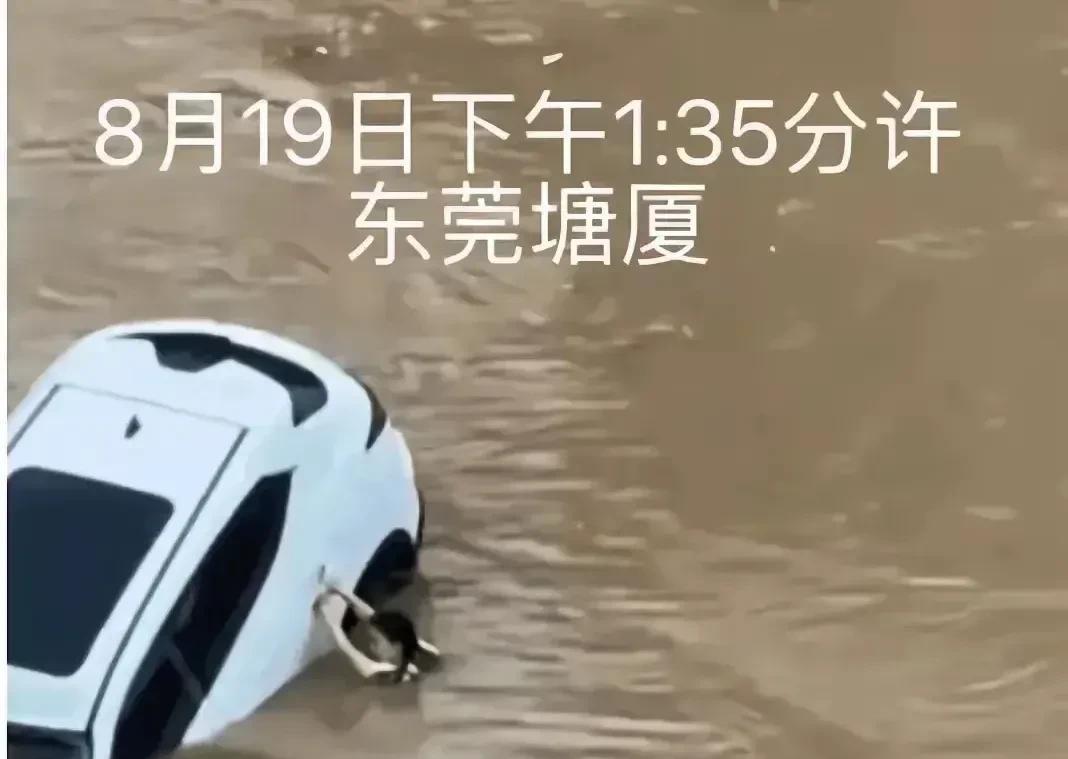 8月19日东莞38女子坠河去世。按说她是不应该死的，自己能够在紧急关头临危不乱，