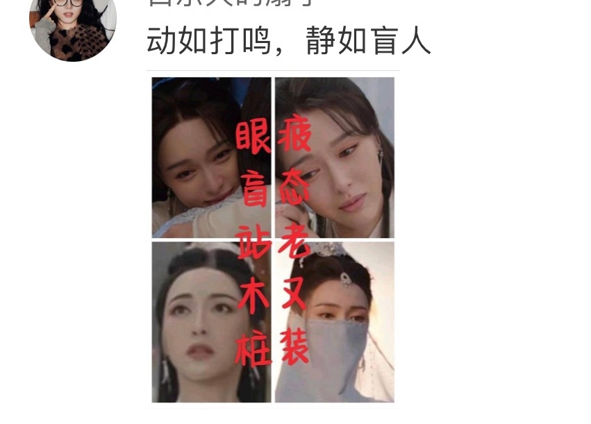 刘诗诗演技我更喜欢她的演技，网友说动如打鸣，静如盲人[吐舌头眯眼睛笑]​​​