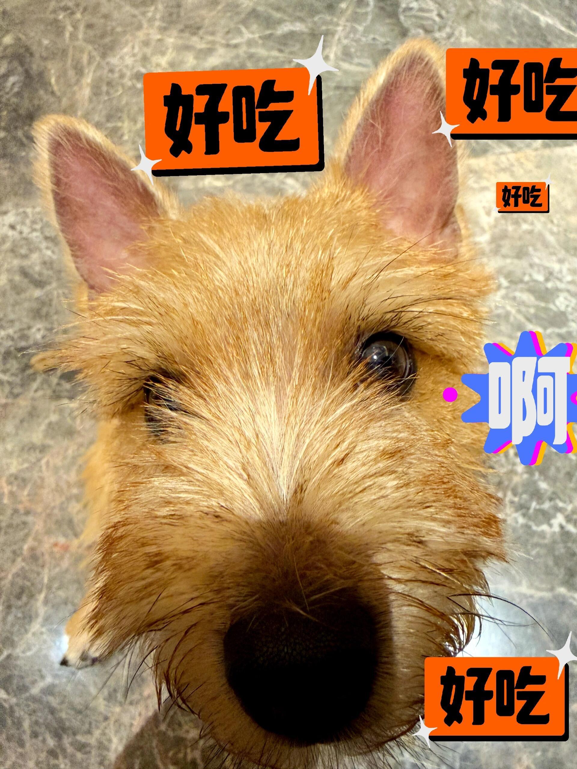 好嘛想死姨姨了夏天终于更新了鲸鱼的夏天