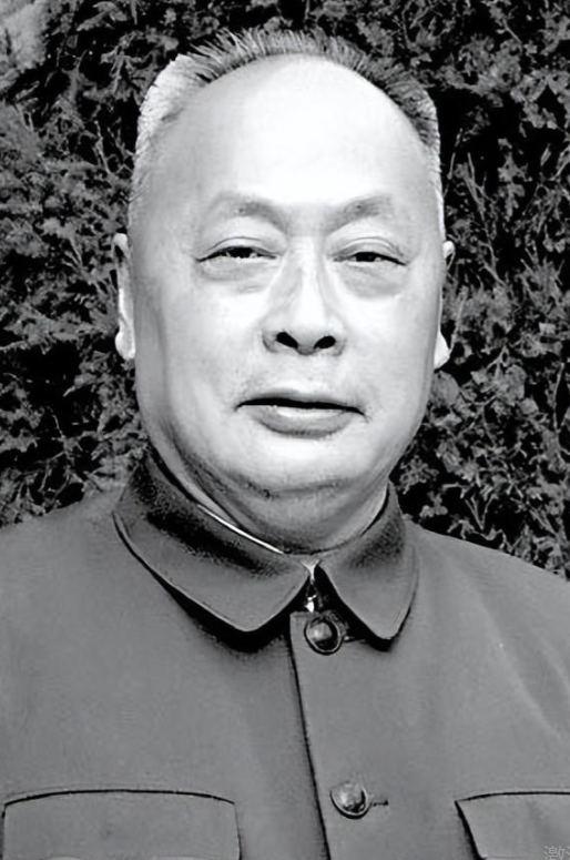 1949年，陈毅到上海一家面馆吃饭，正吃着，一老农走了进来点了一碗阳春面，陈毅见