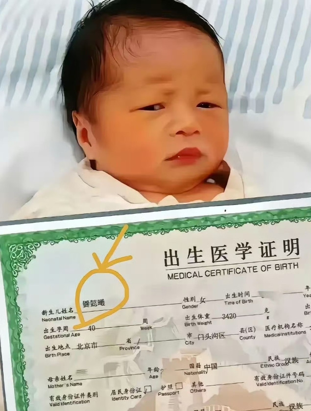 任性的父母，可怜的宝宝