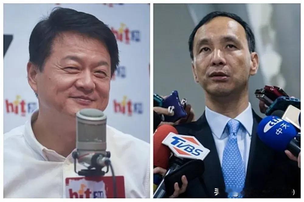 郑丽文当选主席是蓝营饮鸩止渴？郑丽文只不过是替代理人打一场战争！国民党主席选