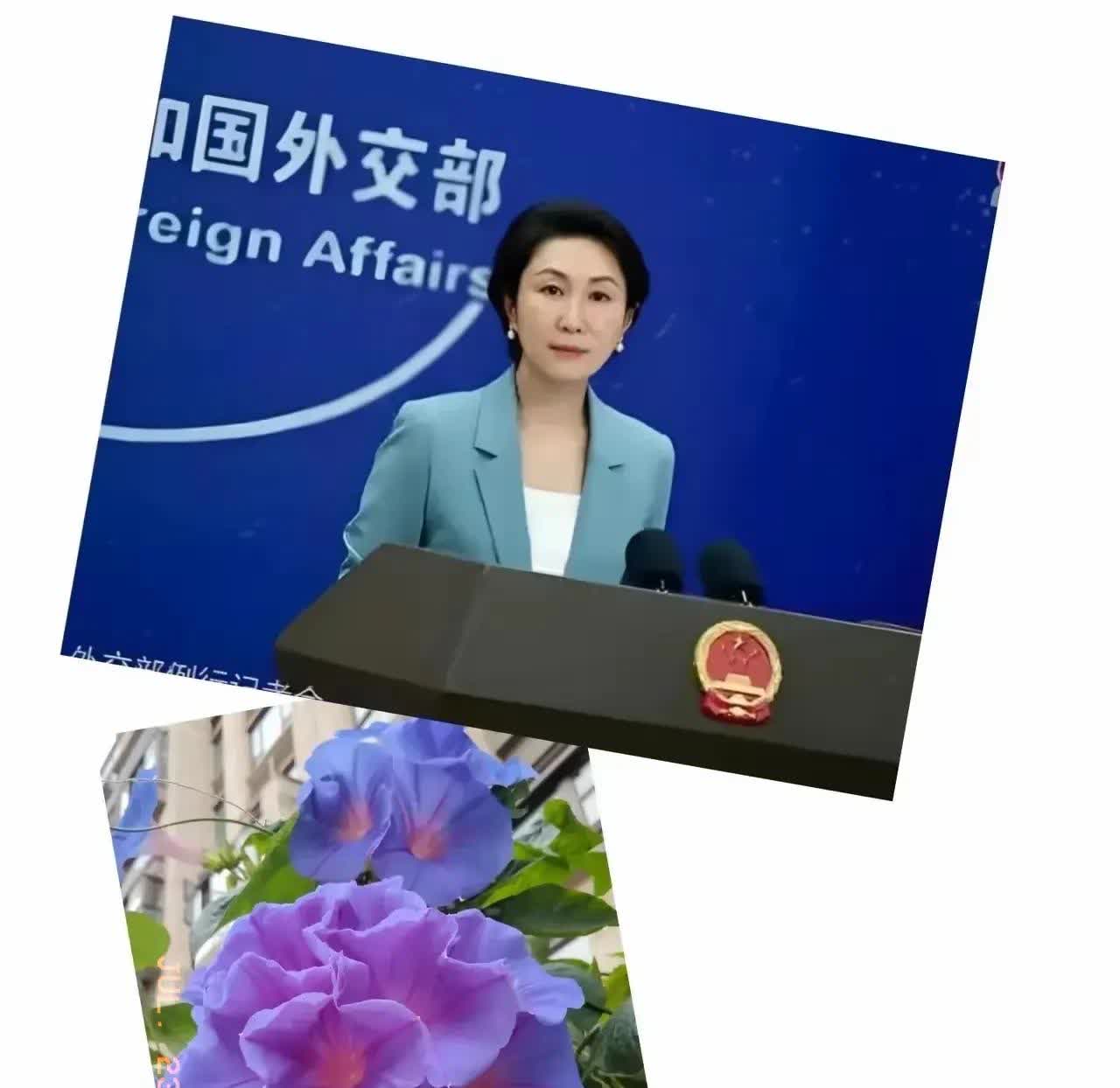 我国霸气回应美国银行高官茅晨月，原来她在首都机场被限制离境，西方媒体惊呆了，这还
