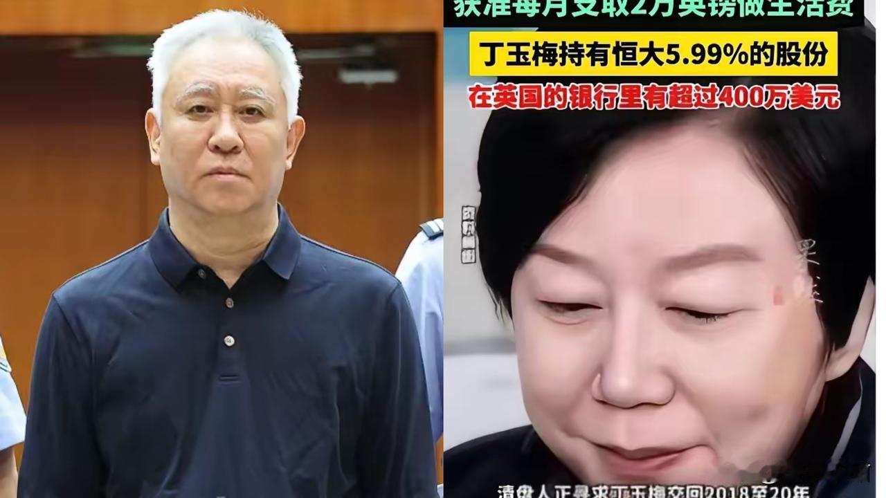 许家印和丁玉梅的两个儿子，履历一个比一个漂亮！大儿子许智健，清华毕业，工商管