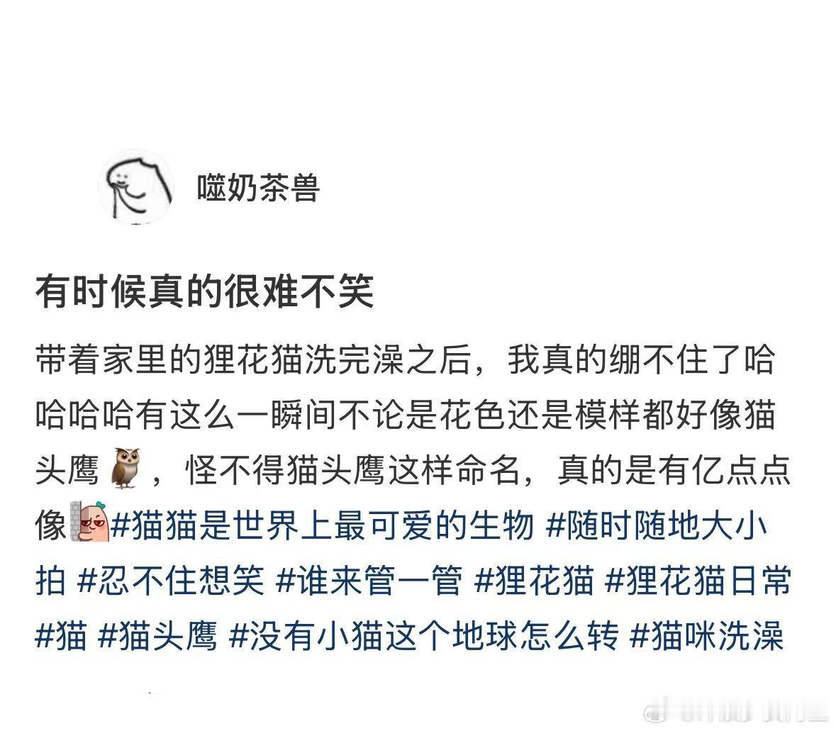 怪不得猫头鹰这样命名，是真的很像小猫的头​​​