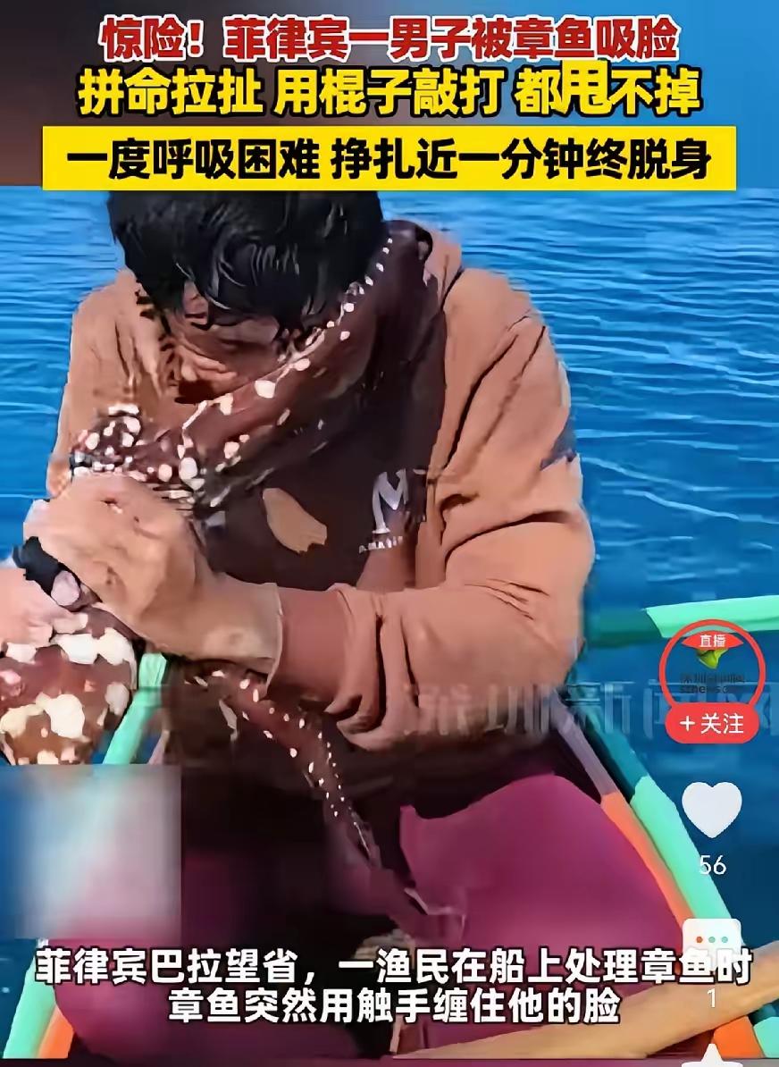 7月29日，菲律宾一渔民出海捕捞，突然一只活章鱼死死糊住他的脸，危急之下，他抓起