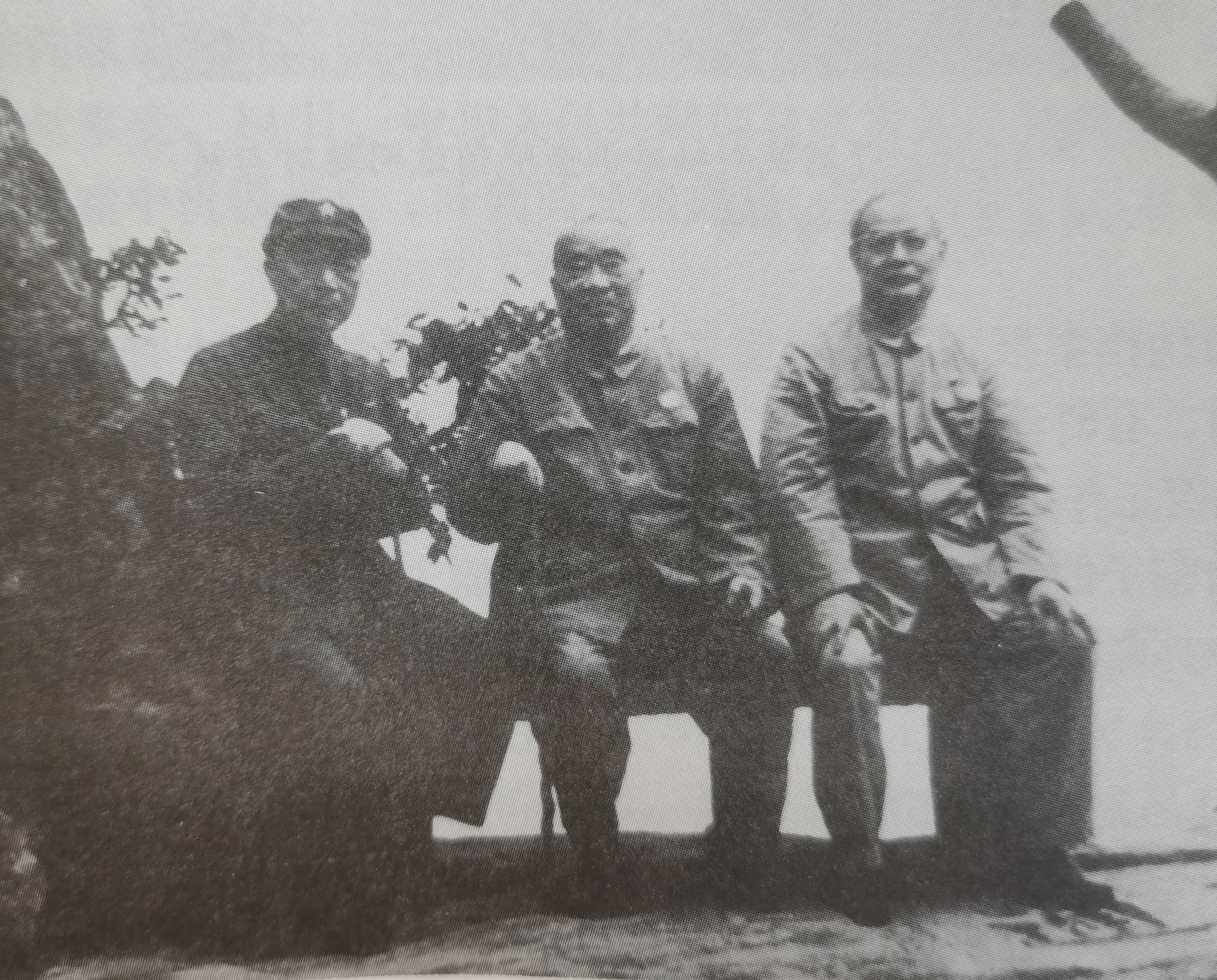 1976年9月，聂荣臻派爱将杨成武去西山找叶剑英，转告他说，四人帮一伙是反革命，