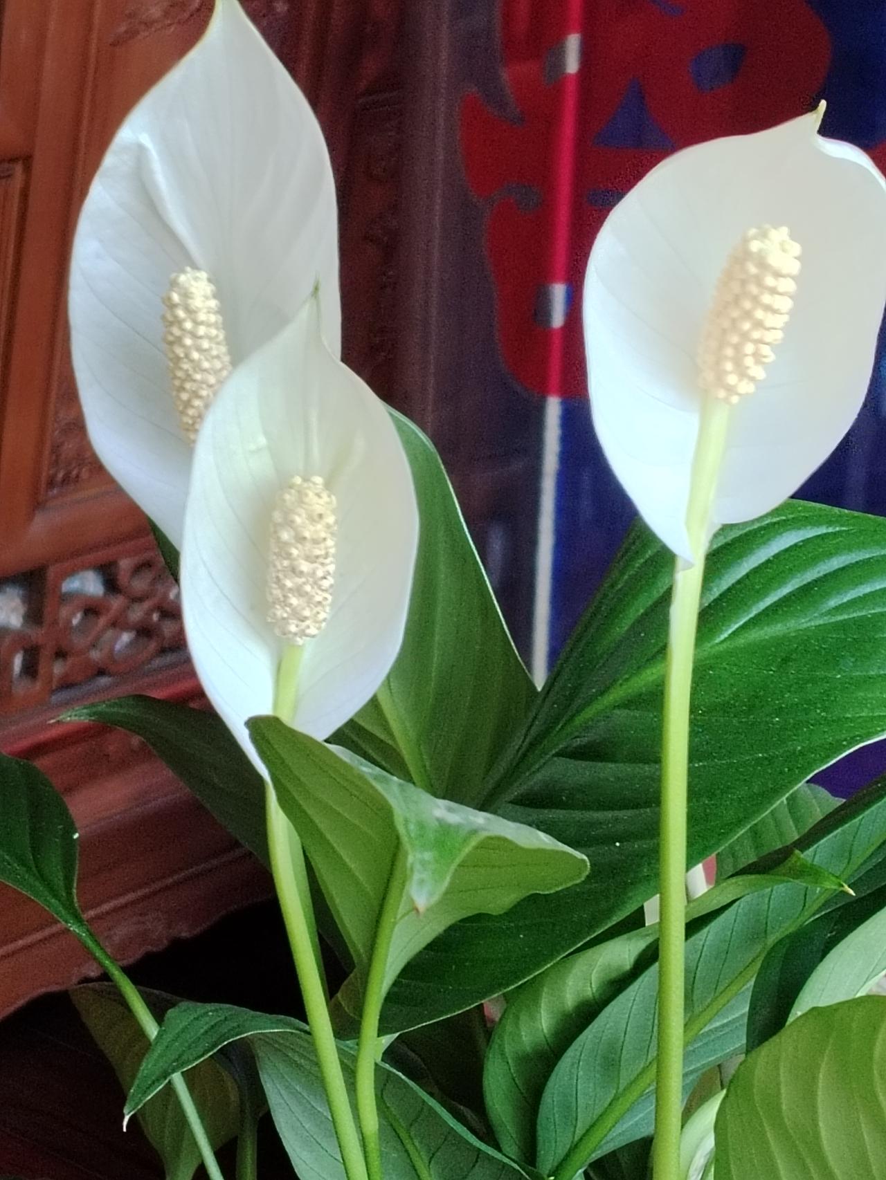 四家三甲医院守护东营人民健康近日，东营市中医院（胜利医院）荣膺三级甲等中医医院