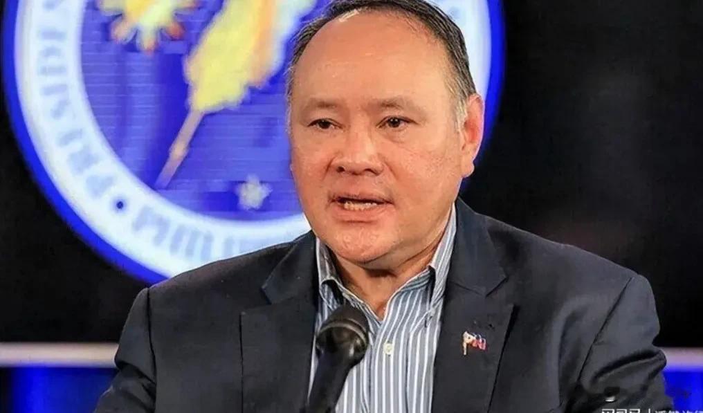 中国制裁菲律宾国防部长，国内第一个受影响的是生力啤酒，因其与菲国防部长的家族控股